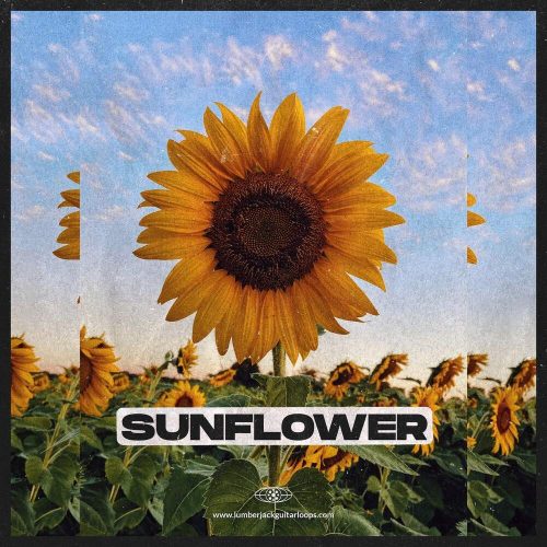 LumberJxck - Sunflower (Loop Kit)