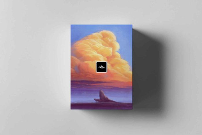 WavSupply JRHITMAKER Mufasa Midi Kit