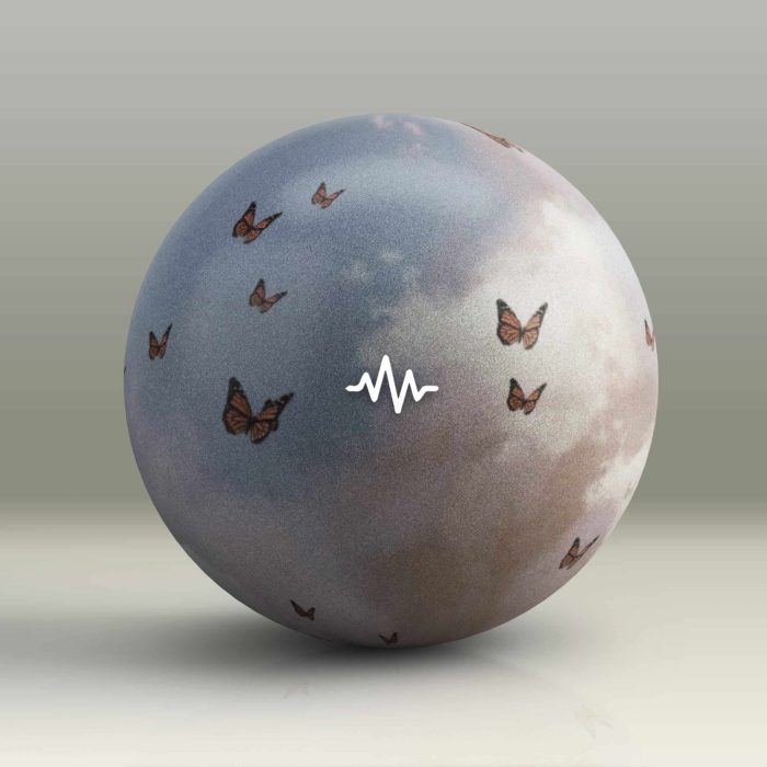 WavSupply nico baran – Exotic Vol. 2 One Shot Kit