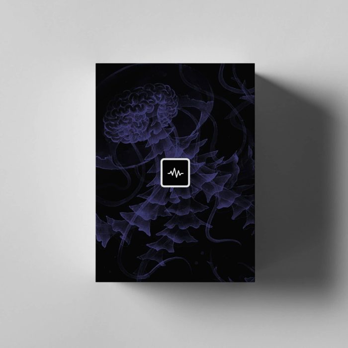 WavSupply Nick Mira Brainstorm Loop Kit