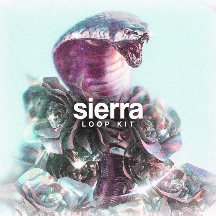 Drumify Based1 – Sierra Loop Kit