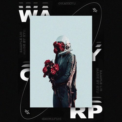 Drumify - KYU – Time Warp (Sample Library)