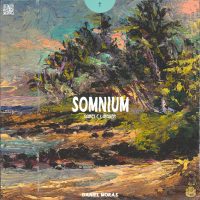 Cash Gang - Somnium Sample Library