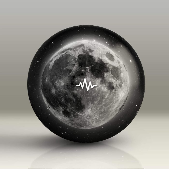 WavSupply JRHITMAKER A Dawg Moon Loop Kit