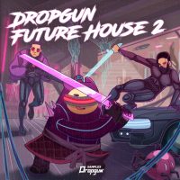 Dropgun Samples - Dropgun Future House 2