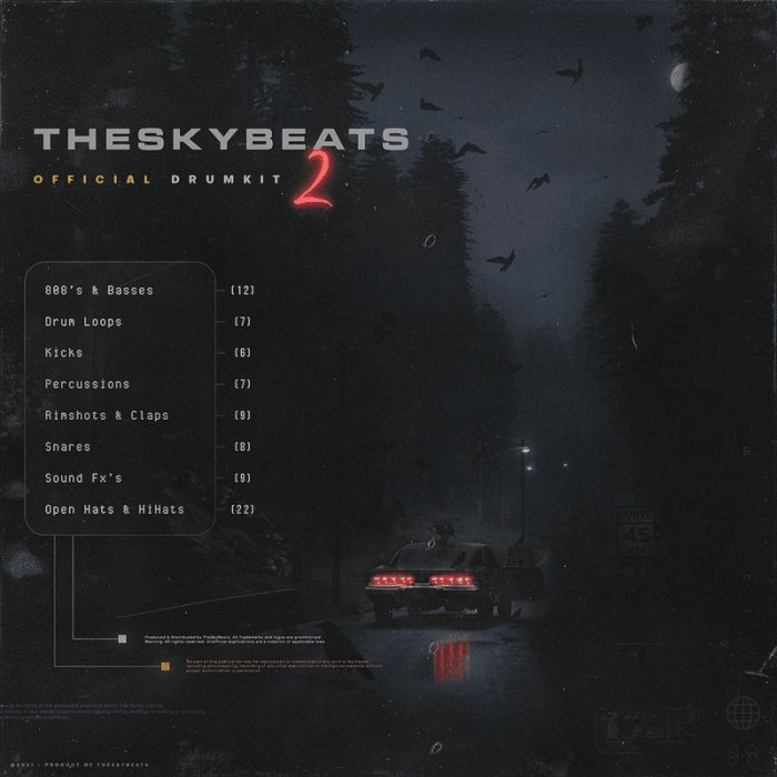theskybeats - THESKYBEATS' OFFICIAL DRUMKIT 2