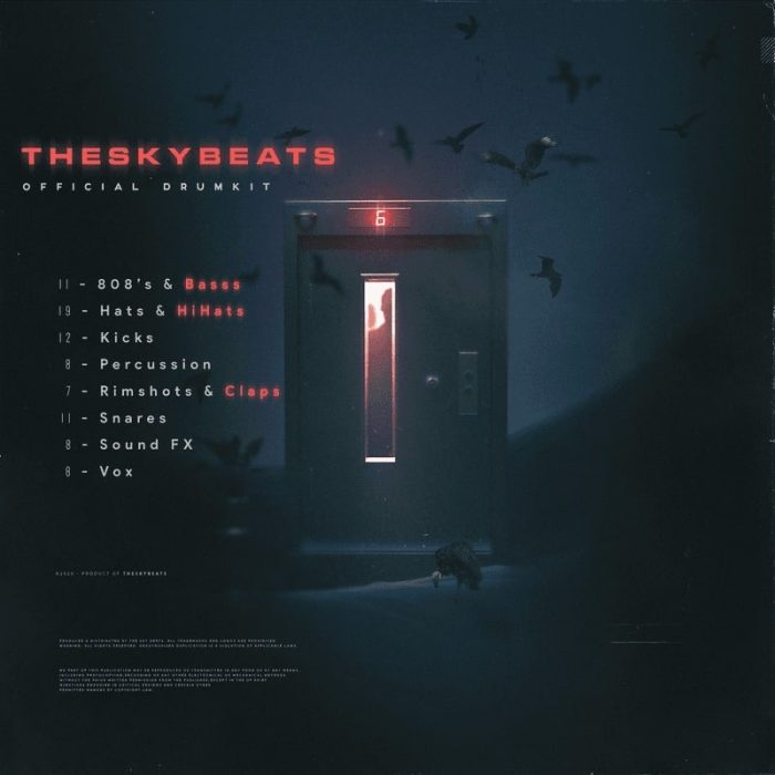 theskybeats - THESKYBEATS' OFFICIAL DRUMKIT
