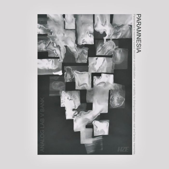 prodbyhze - PARAMNESIA (ANALOG LAB V BANK)