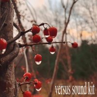 versus beats - versus sound kit