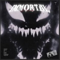COOPER X DVNEK - IMMORTAL SOUNDKIT