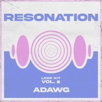 WavSupply - A-Dawg - Resonation Vol. 2 Loop Kit