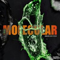 HZE - MOLECULAR (ANALOG LAB V BANK)