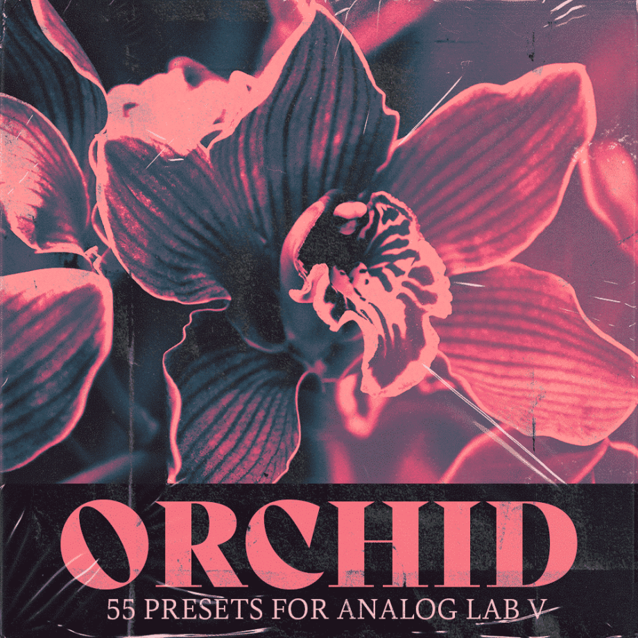 Jukebox Juice - Orchid [Analog Lab Soundbank]