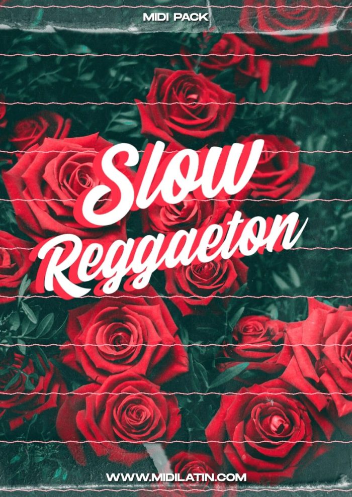Slow Reggaeton - Image 1