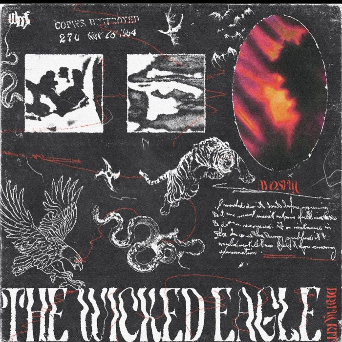 Sim - The Wicked Eagle Kit - Image 1