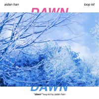 aidan han - dawn [loop kit]