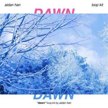 aidan han - dawn [loop kit]