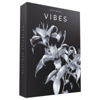 Cymatics - VIBES Platinum Expansion