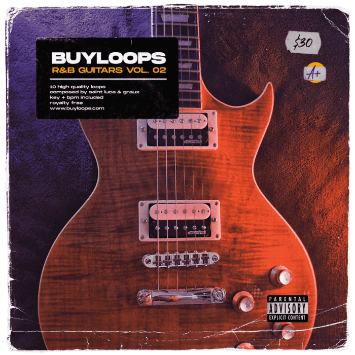 BUYLOOPS - R&B Guitars Vol. 02 - Image 1