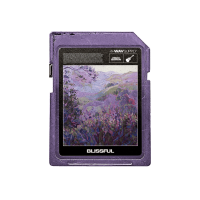 Nico Baran - Blissful (Guitar Loop Kit)
