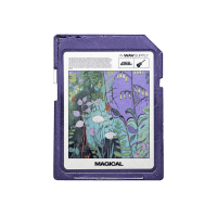 Nico Baran - Magical (Guitar Loop Kit)