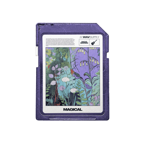 Nico Baran - Magical (Guitar Loop Kit)