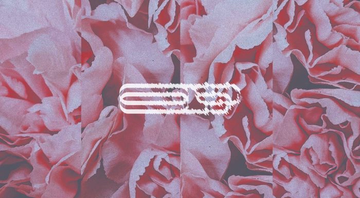 BlankFor.ms - Tape Haze 5 Sample Pack - Image 1
