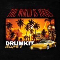 Nik D - The World Is Yours Vol. 2