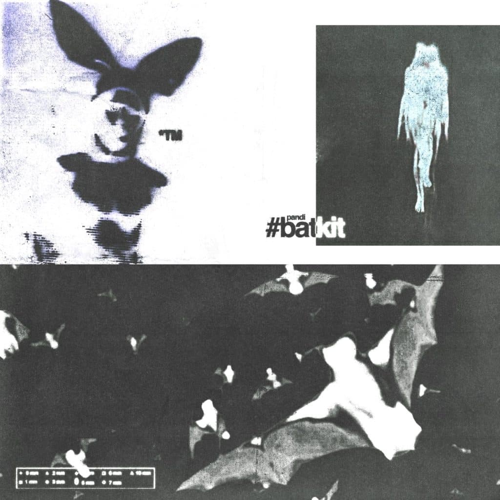 pandi - batkit