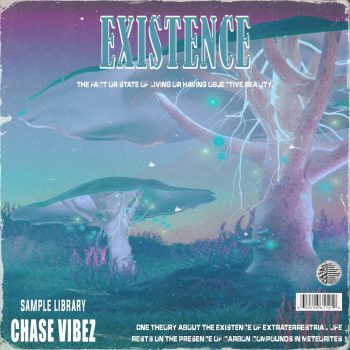 Chase Vibez - Existence (Loop Kit)