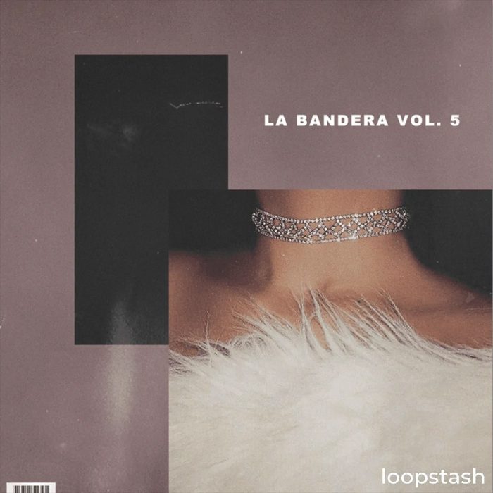 KXVI - La Bandera Vol. 5
