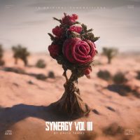 David Tamas - Synergy Vol. 3 (Loop Kit)