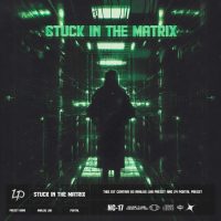 Loop Legend - Stuck In The Matrix (Analog Lab & Portal)