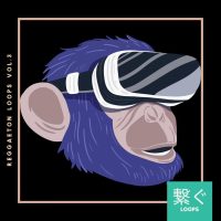 Veguzzi - Reggaeton Loops Vol. 3 (Drum Loops)