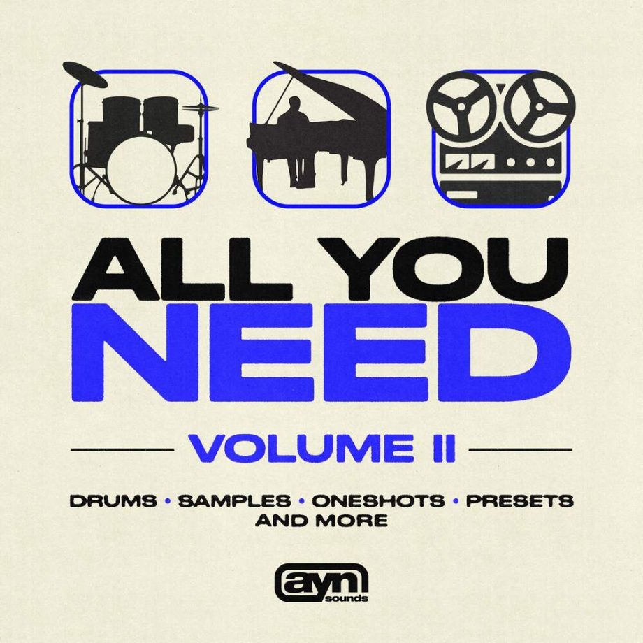 AYN Sounds - All You Need Vol. 2