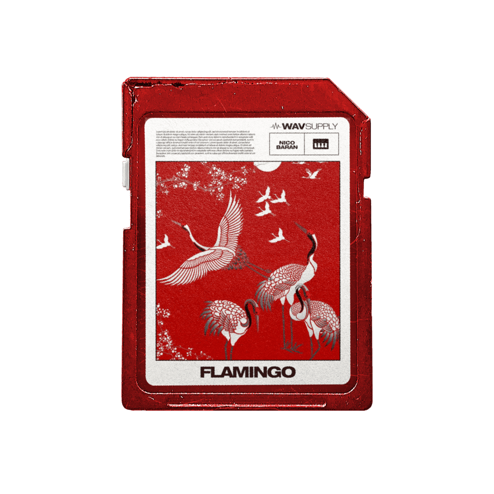 Nico Baran Flamingo Effect Rack Bank