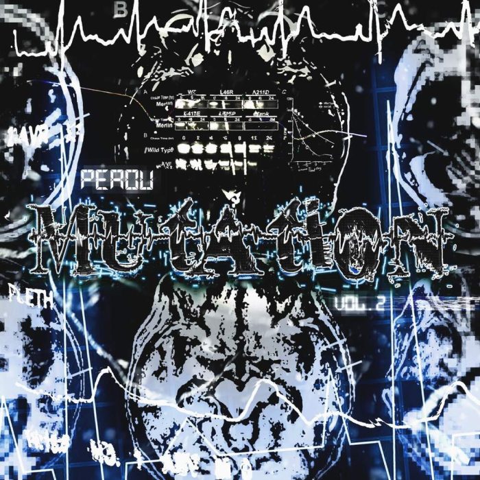 Perdu - Mutation Vol. 2 (Looperator Bank)