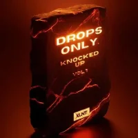 XLNT Drops Only Knocked Up Vol. 1 Serum 2 Presets